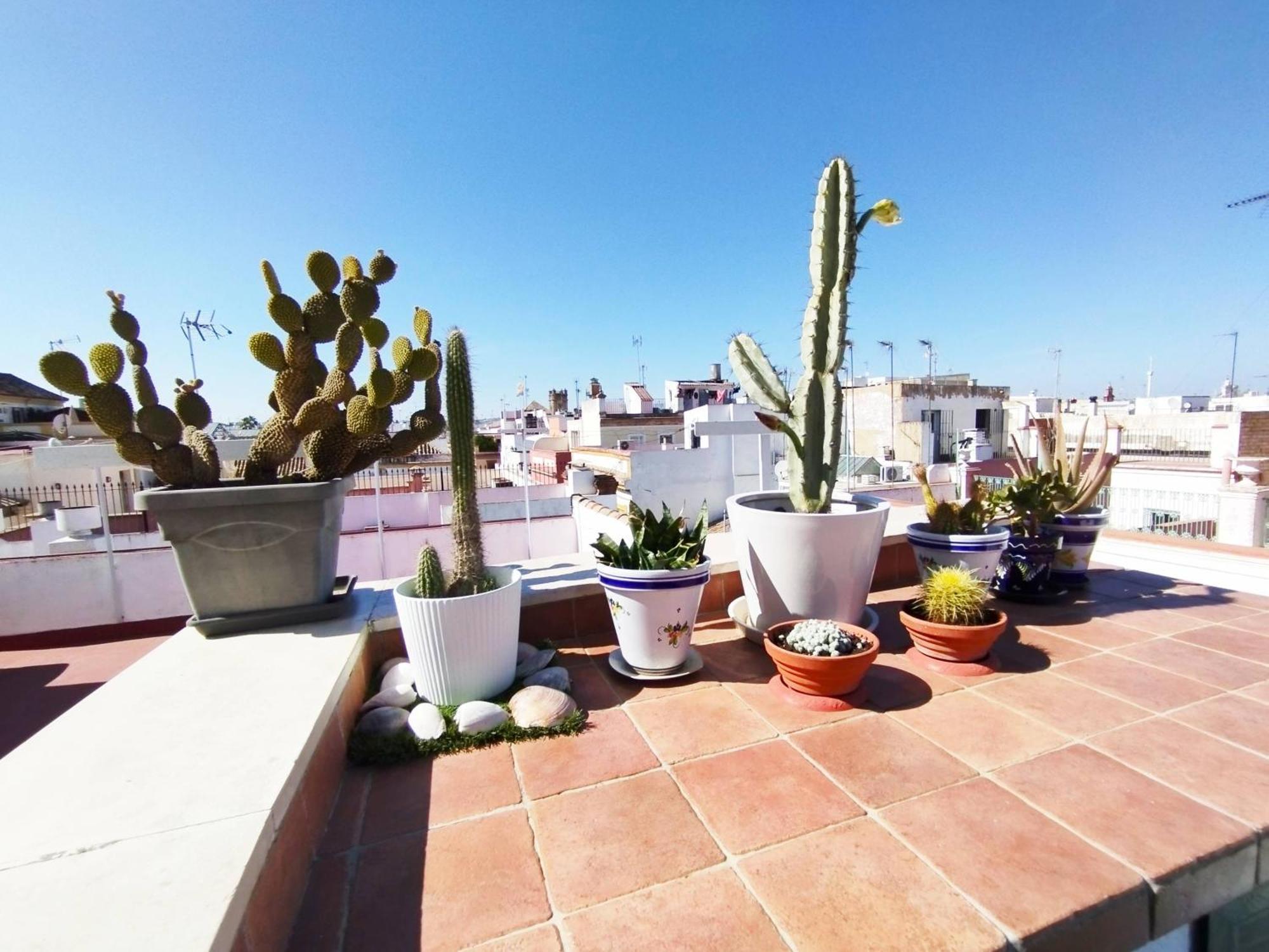 Apartment Casa Gavidia - Duplex With Panoramic View *